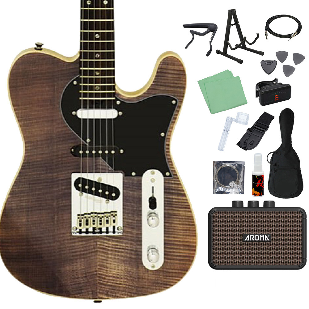 Aria Pro II テレキャスエレキギター 初心者セット