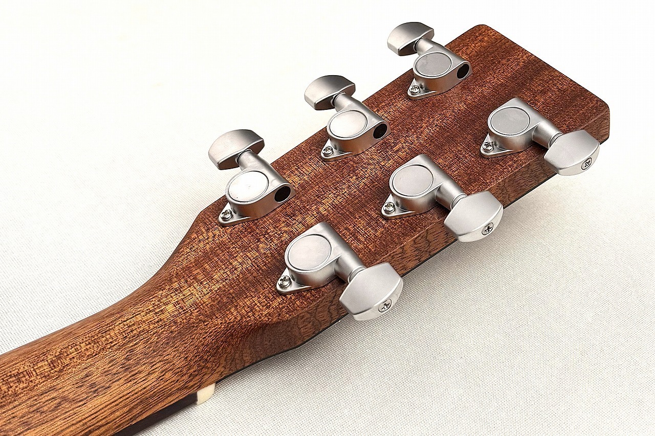 Martin 【エレアコ】GPC-X2E COCO #3054417 【48回無金利】（新品