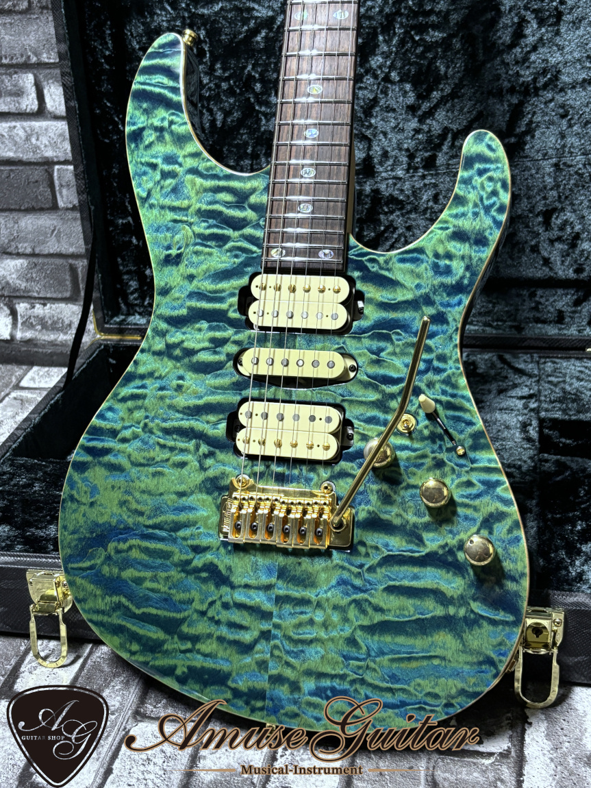 FREEDOM CUSTOM GUITAR RESEARCH Hydra 2Point 24F Premium
