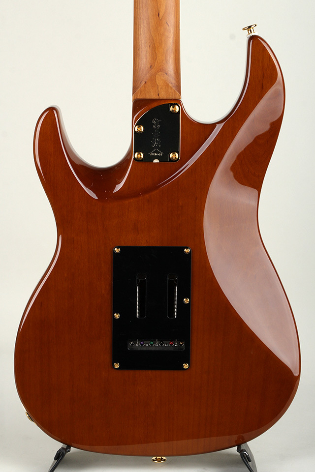 FUJIGEN(FGN) Expert ODYSSEY EOS2-EW1-HS-RM/HCB【S/N J250460