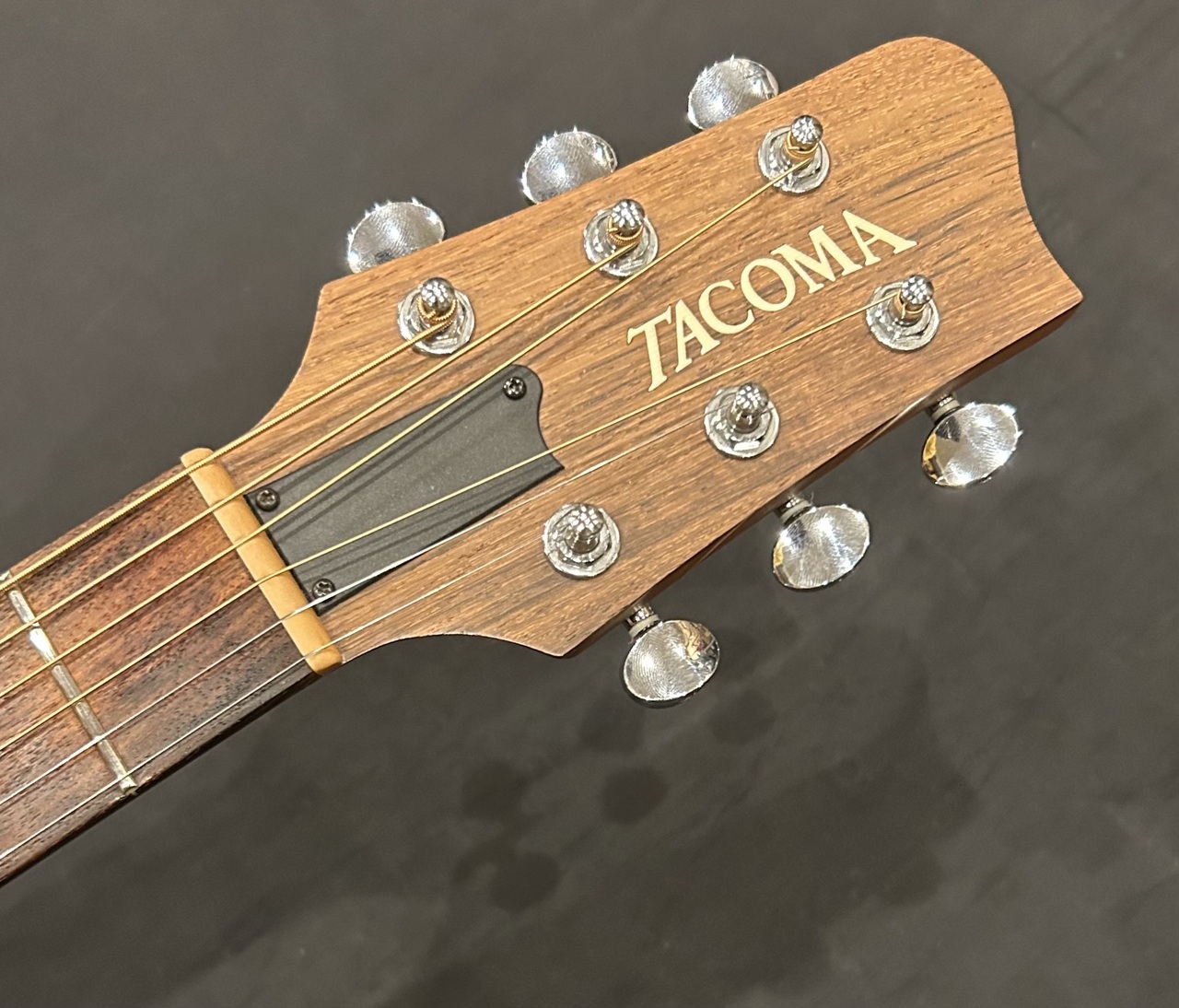 TACOMA C1C（中古）【楽器検索デジマート】