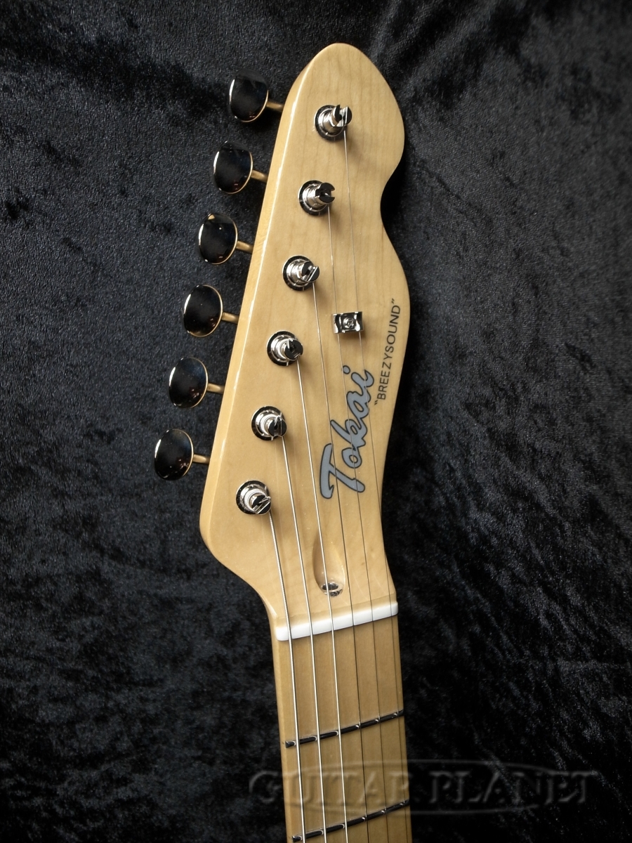 Tokai ATE-101 GSM（新品）【楽器検索デジマート】