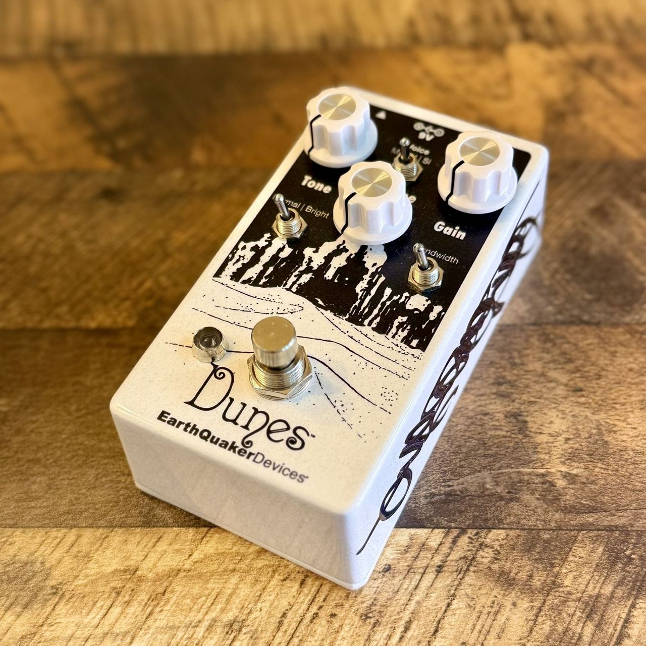 EarthQuaker Devices Palisades 中尾憲太郎 サイン入 EarthQuaker Devices Dunes【1台限定、中尾憲太郎×三島想平サイン入り