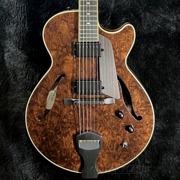 Kikuchi Guitars MF15L 2HB Imbuia Burl (2025-2026 Limited Model