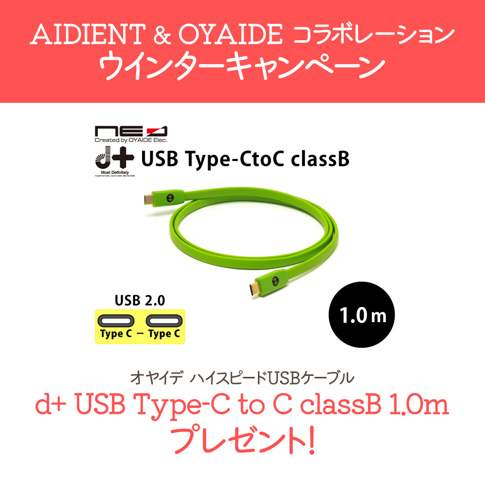AUDIENT iD14mkII 【ウインターキャンペーン!オヤイデUSBケーブル