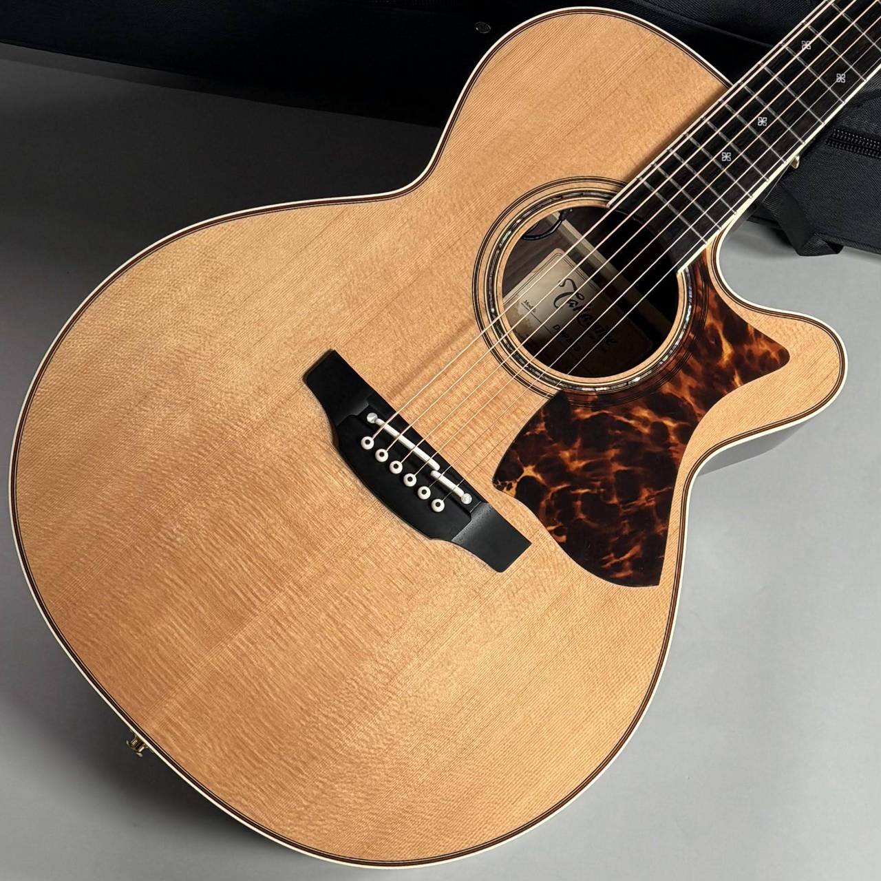 Takamine DMP50S NAT エレアコギター セミハードケース付属【島村楽器