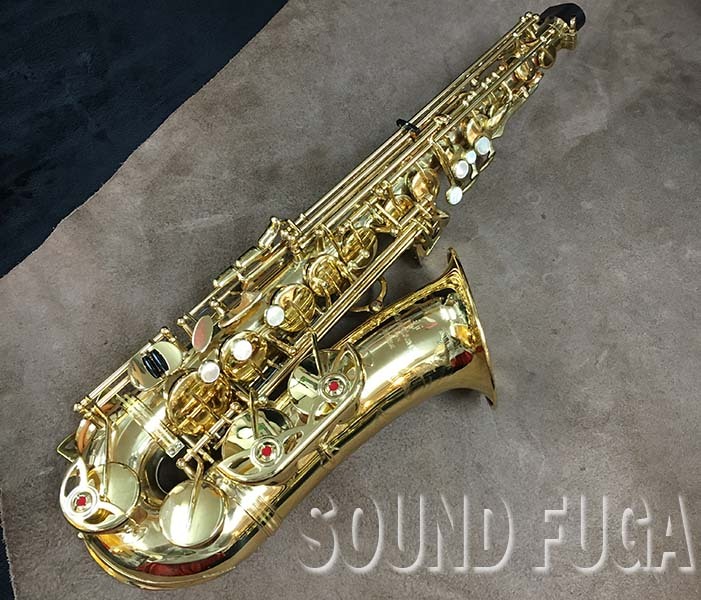 輝い ヤナギサワ アルトサックス A-900 μ 管楽器 - zoopalic.com