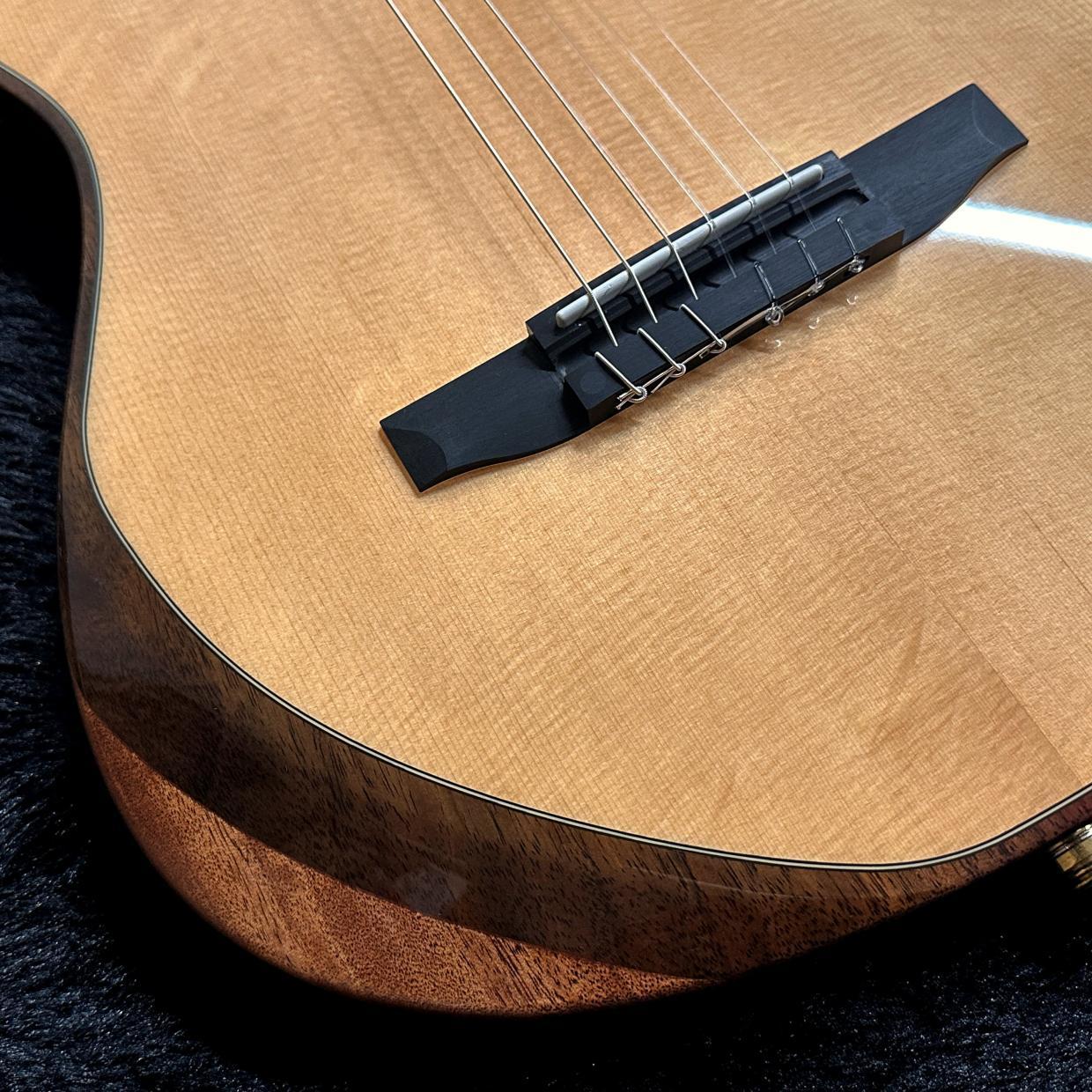 Ibanez TOD100N-NT (Natural High Gloss) Tim Henson Signature（新品