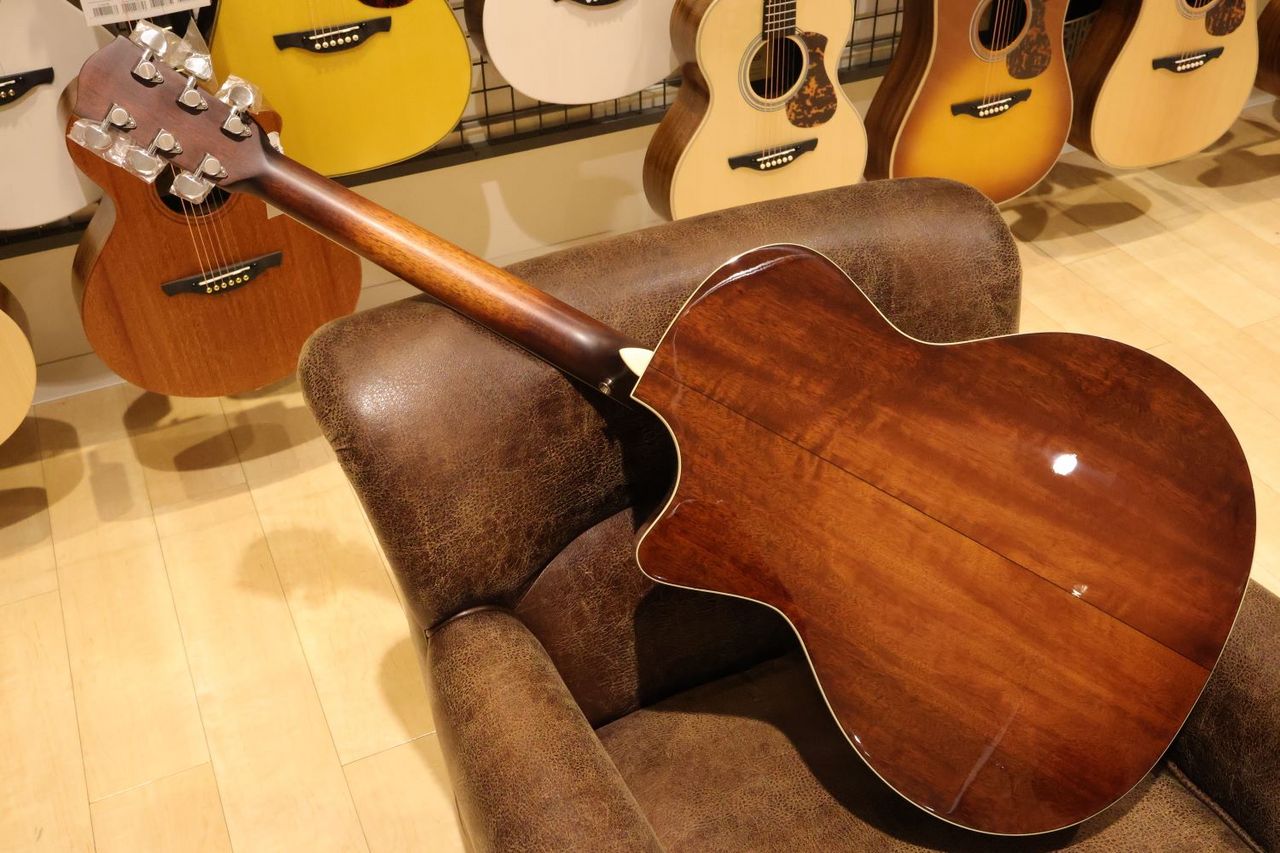Eastman AC322CE エレアコ オール単板 L.R.Baggsピックアップ搭載