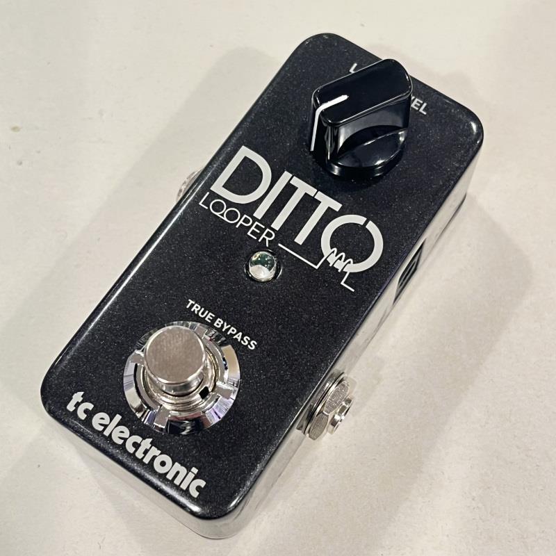 tc electronic USED 中古 DITTO LOOPER ルーパー（中古）【楽器