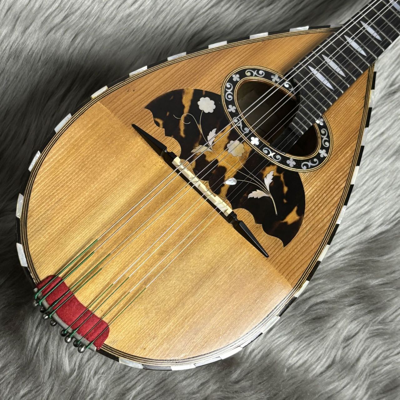 STRIDENTE Stridente 松/ローズウッド【Vintage】（ビンテージ/送料無料）【楽器検索デジマート】