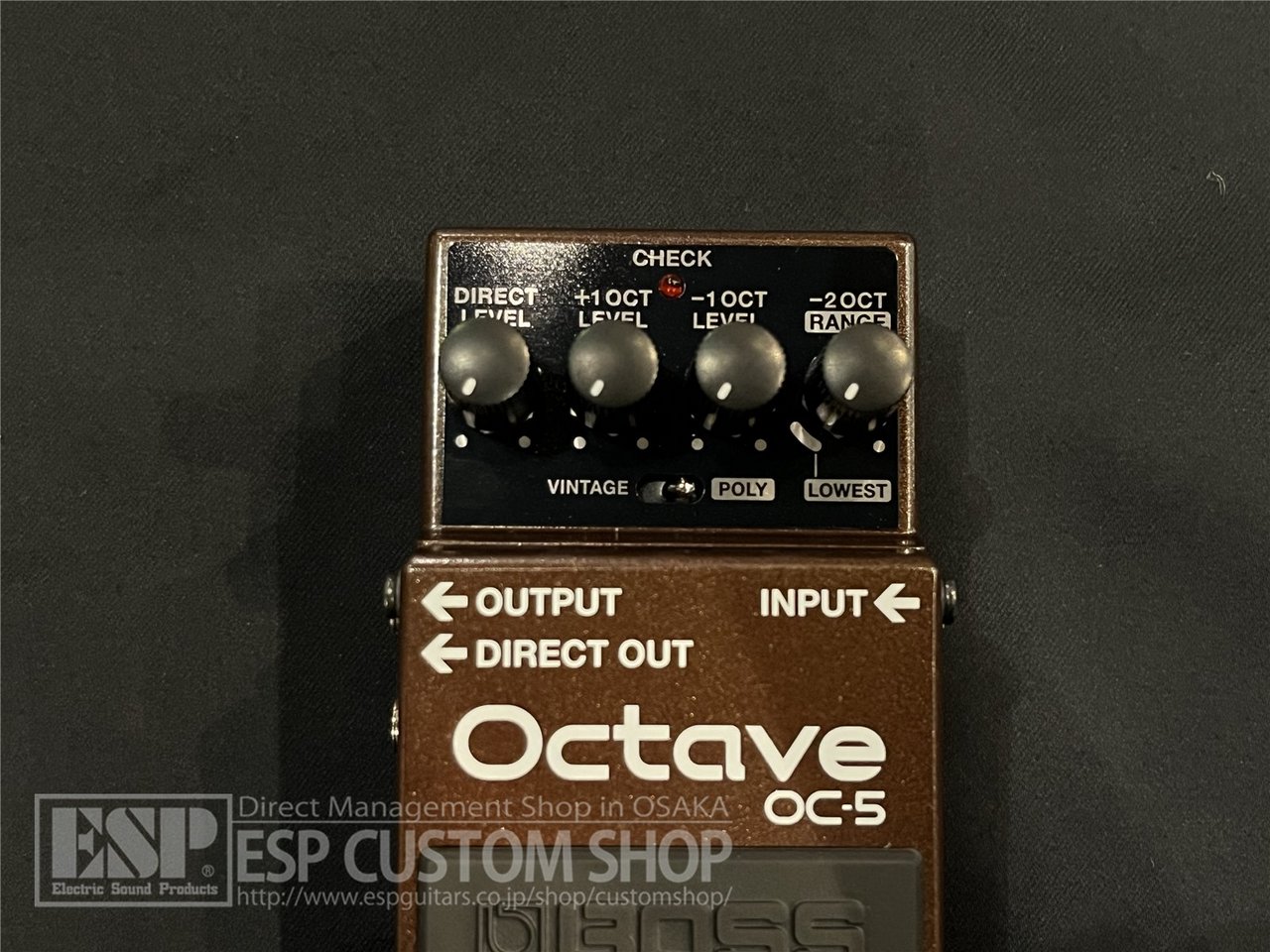 BOSS OC-5 Octave（新品）【楽器検索デジマート】