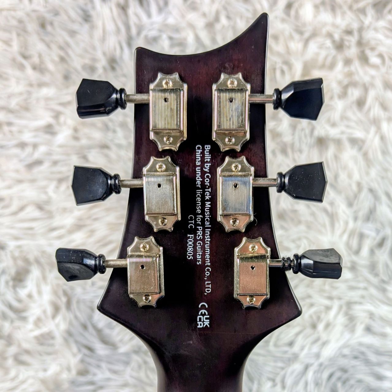 Paul Reed Smith(PRS) SE Parlor w/Fishman【現物画像】1/30更新（新品