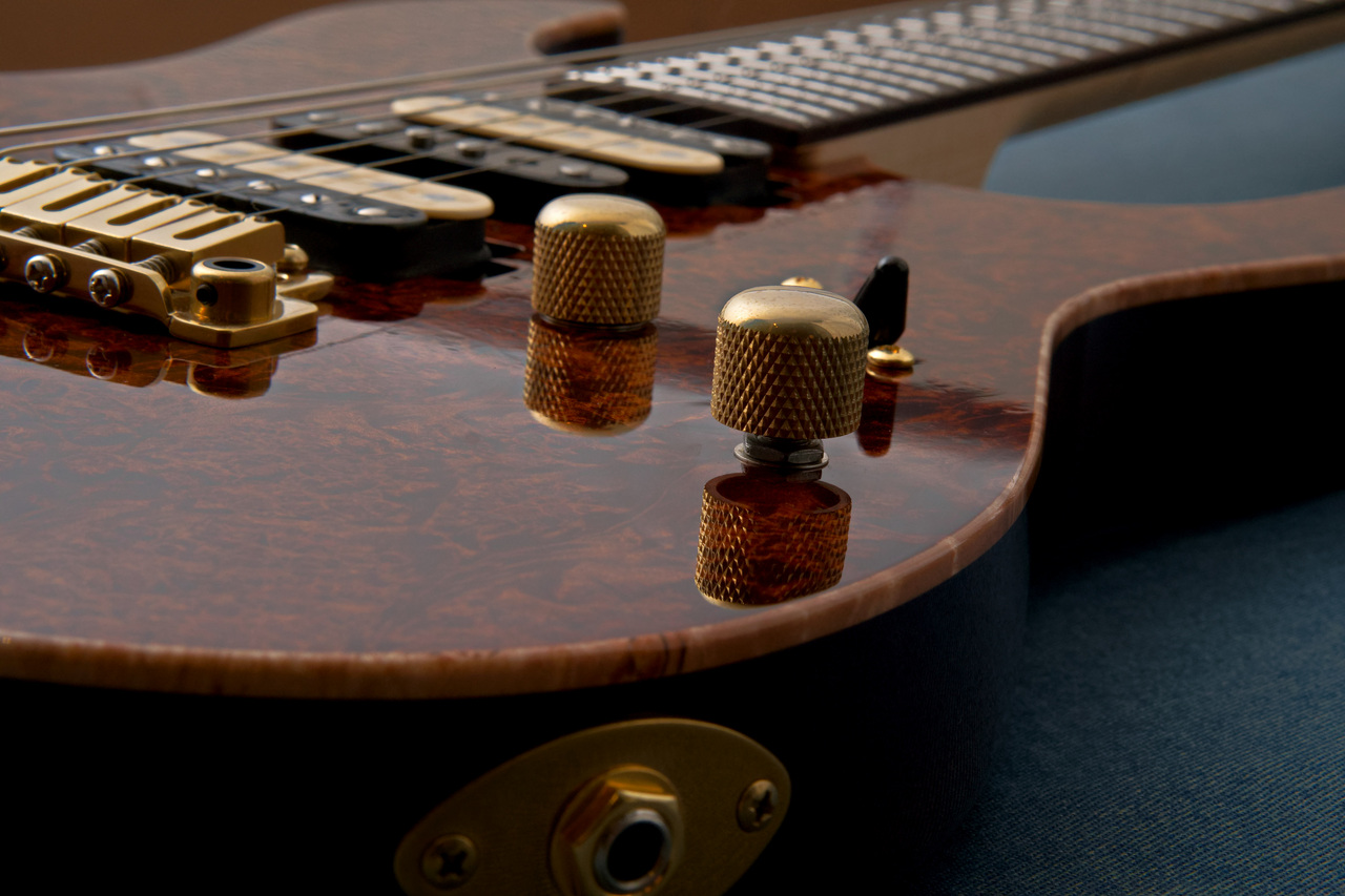 T's Guitars DST Pro 24 w/5A Burl Maple -Trans Brown-【3.65kg