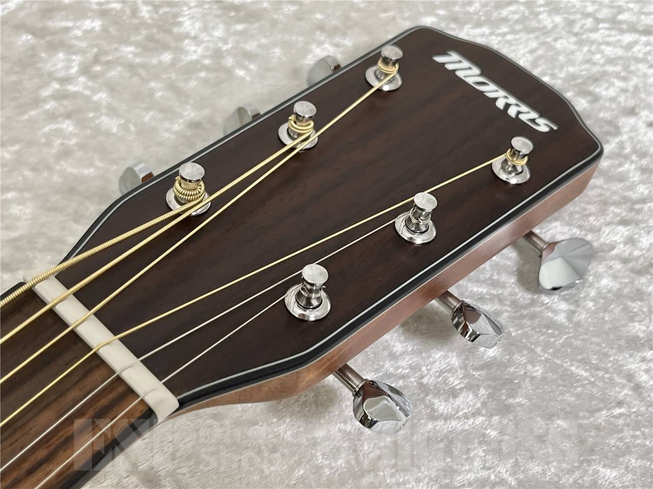 MORRIS F-01NAT ギータ morris【モーリス】F-01NAT acoustic guitar