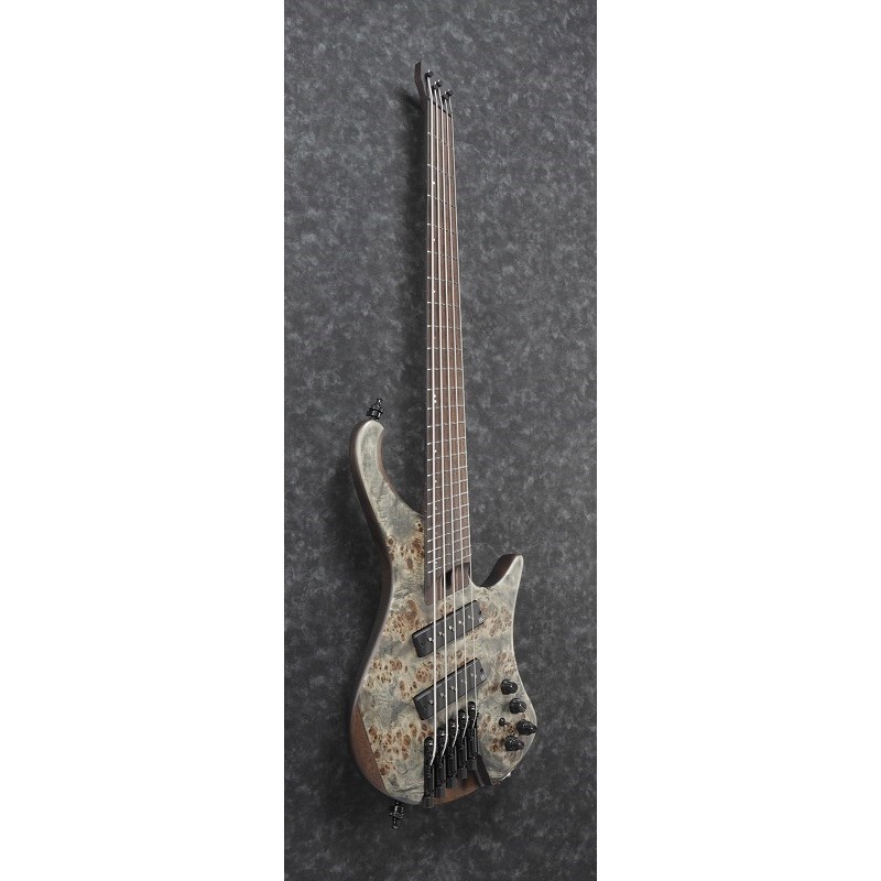 Ibanez Bass Workshop EHB1505MS-BIF [SPOT MODEL]（新品