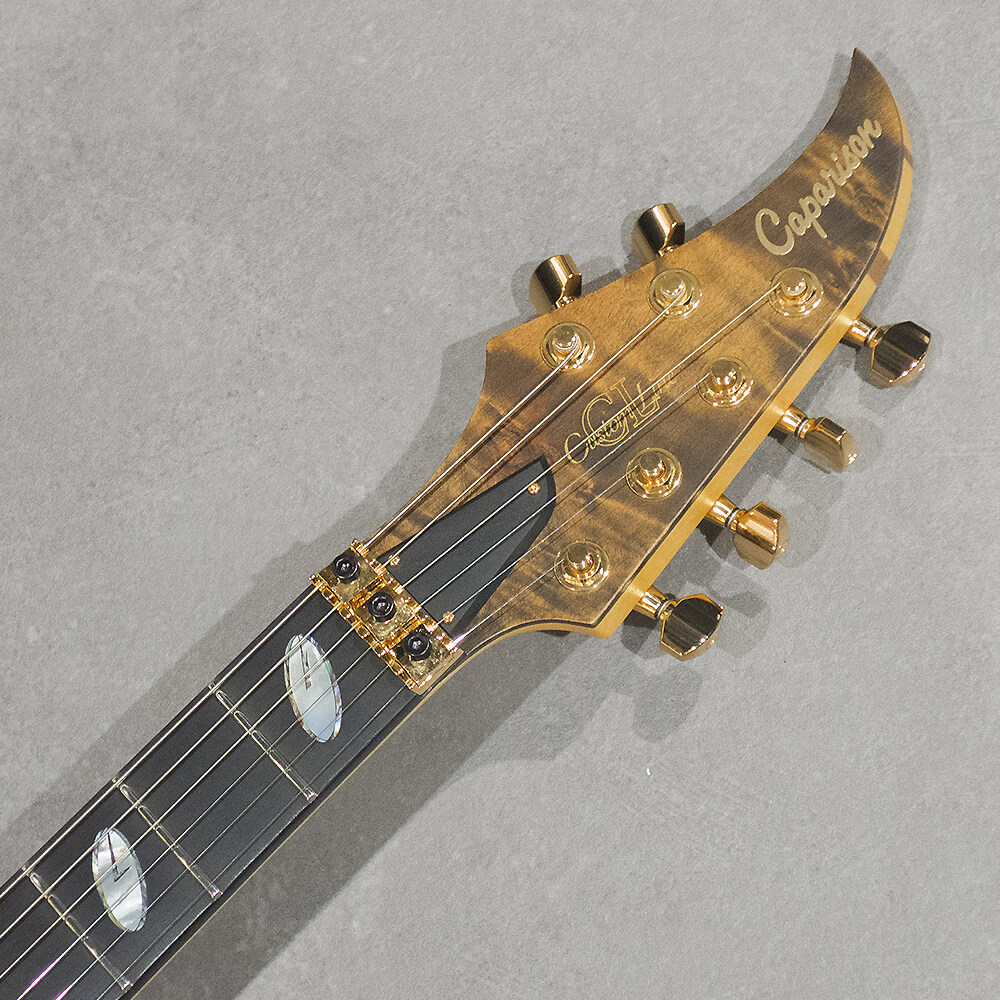 customRClaboさん専用 ラーソンブラザーズギター 8348_06.jpg