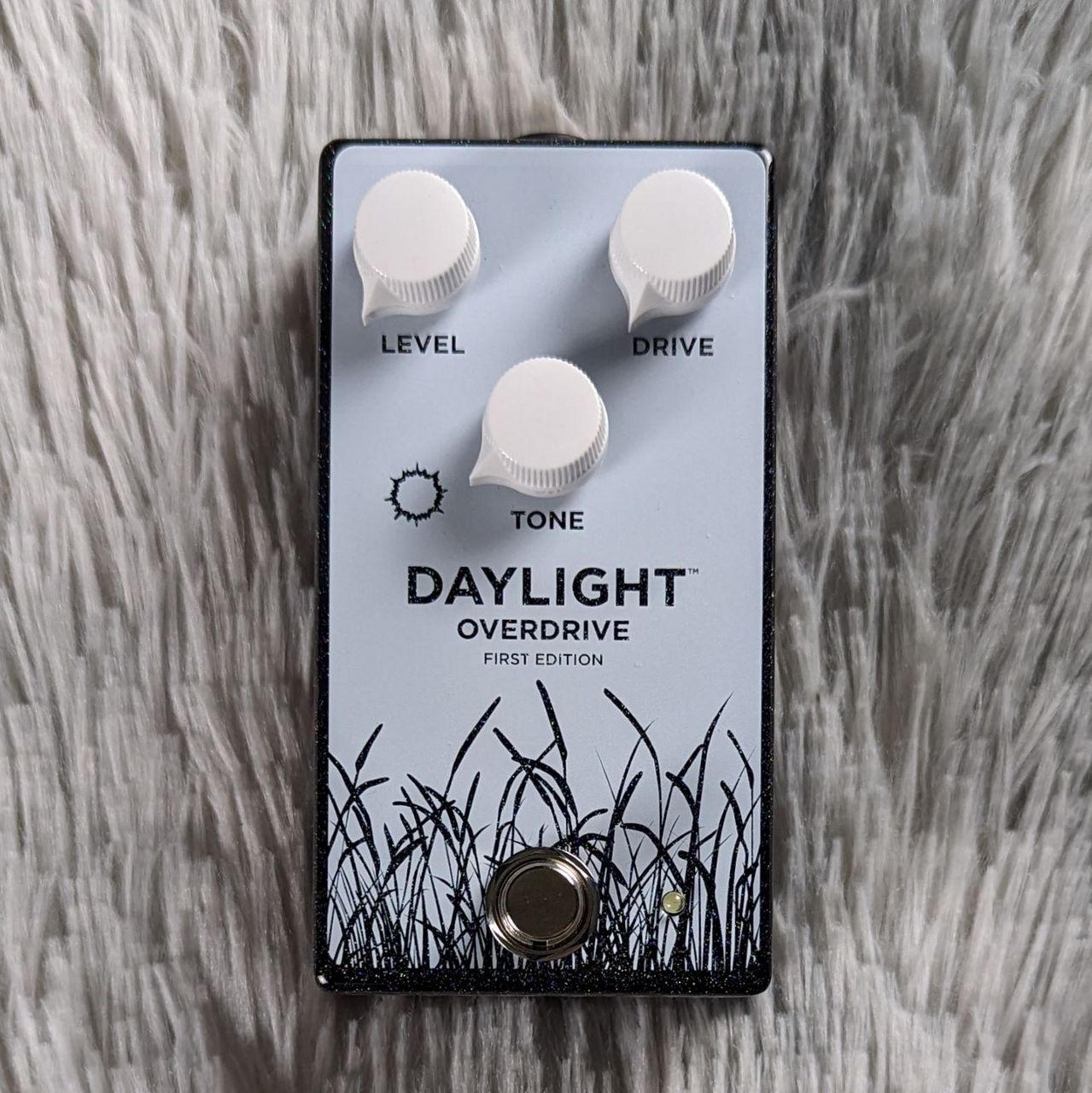 Pedaltrain Daylight（B級特価/送料無料）【楽器検索デジマート】