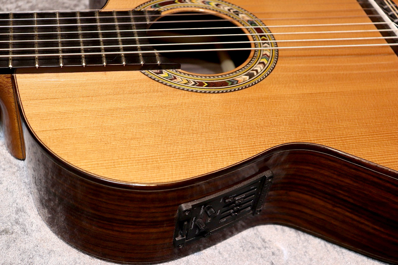 【数々のアワードを受賞】 Orpheus Valley Guitars F65CW-7S【激エモ7弦エレガット】【良生 その他
