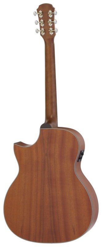 ARIA アリア 101CE MTN Cutaway Electric ギグケース付き