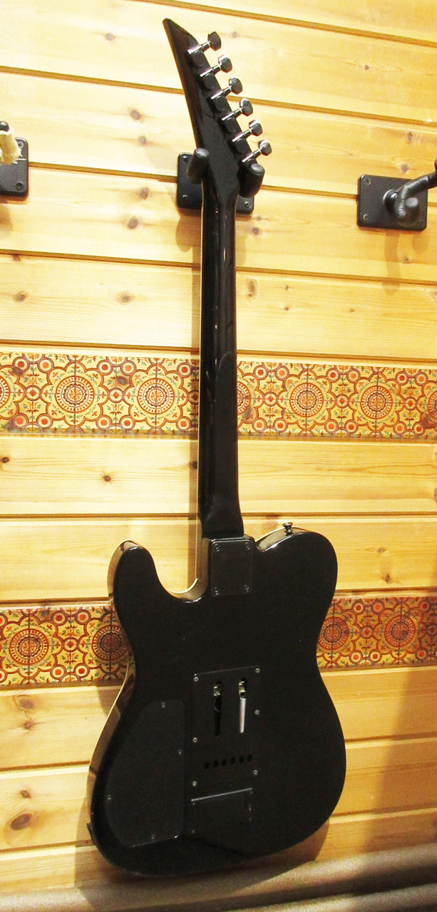 FERNANDES TE-120S HT（中古）【楽器検索デジマート】