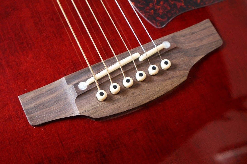 Takamine 【人気カラー】DMP551C WR #63090352【最大48回分割無金利