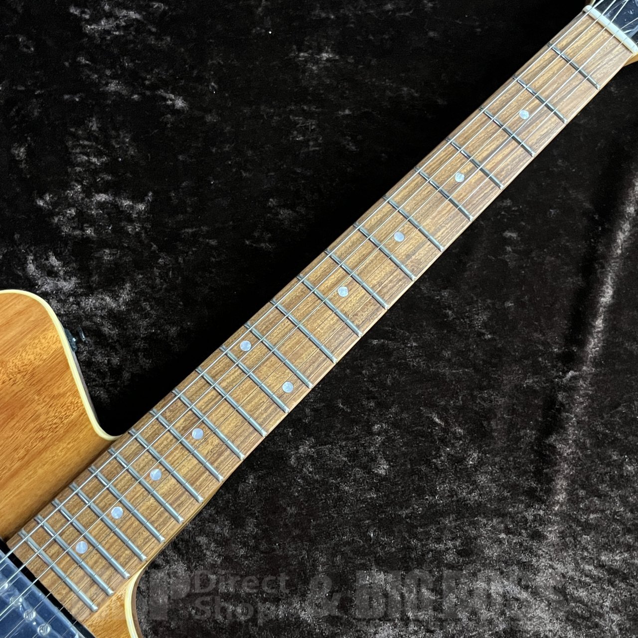 GrassRoots G-一角【04 Limited Sazabys RYU-TA Signature Model