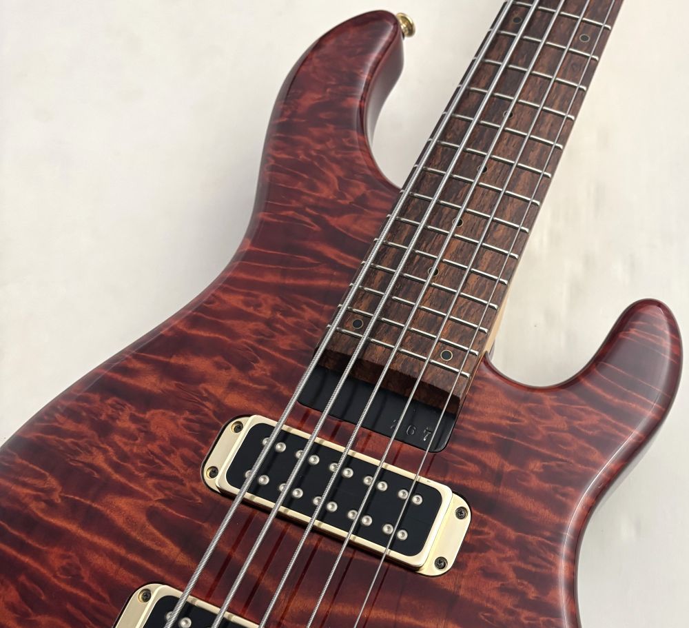 STR GUITARS 【48回無金利】LS549 【USED】（中古）【楽器検索
