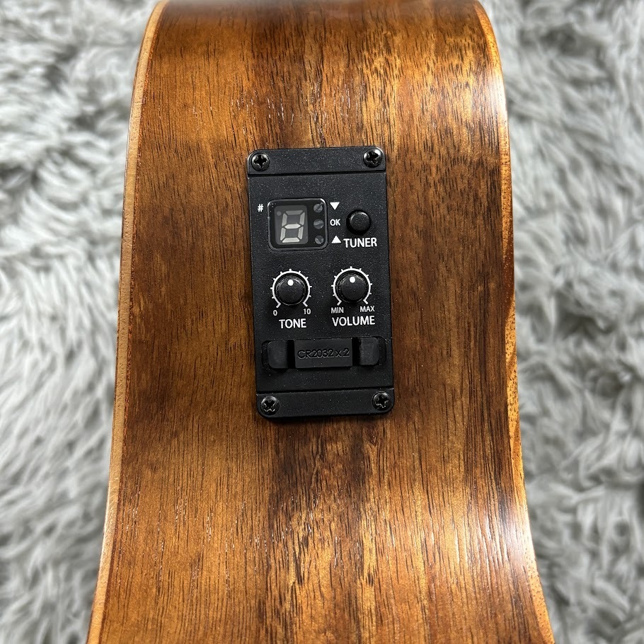 Taylor GS Mini-e KOA エレアコギター ミニギター アコースティック