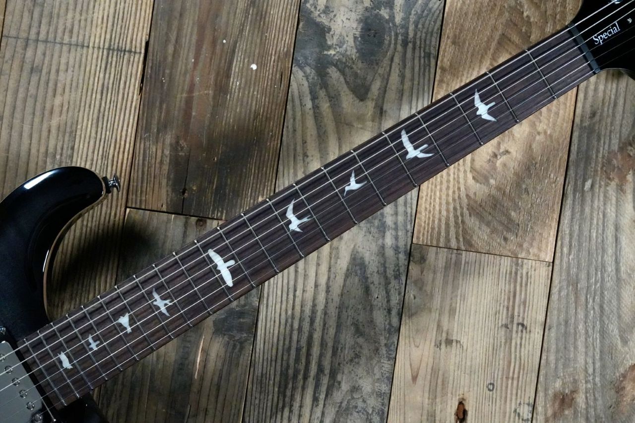 Paul Reed Smith(PRS) SE SPECIAL SEMI-HOLLOW/Charcoal Burst【2025年