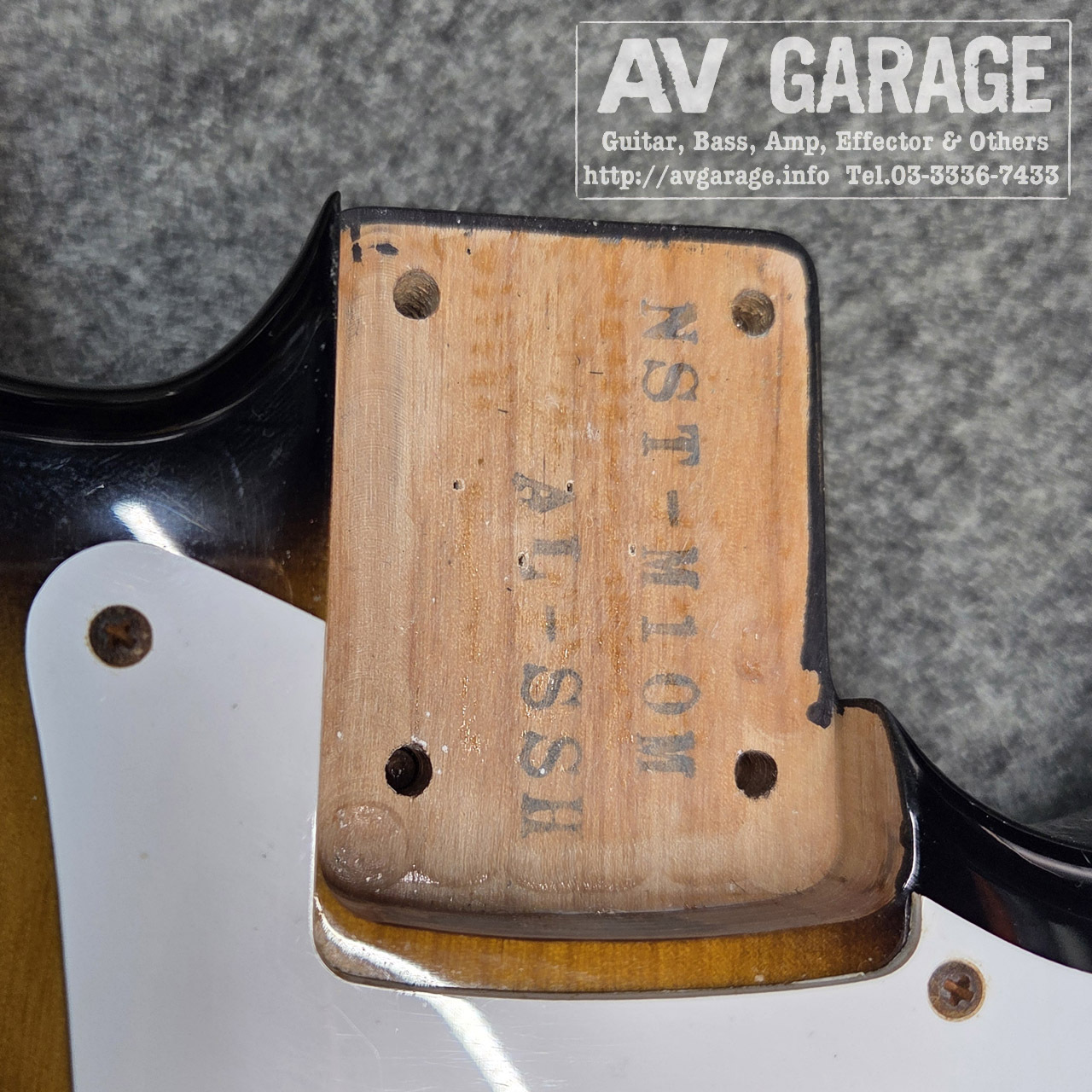 FUJIGEN(FGN) FUJIGEN(FGN) NST-M10M-AL-SSH Mod. Lindy Fralin 3