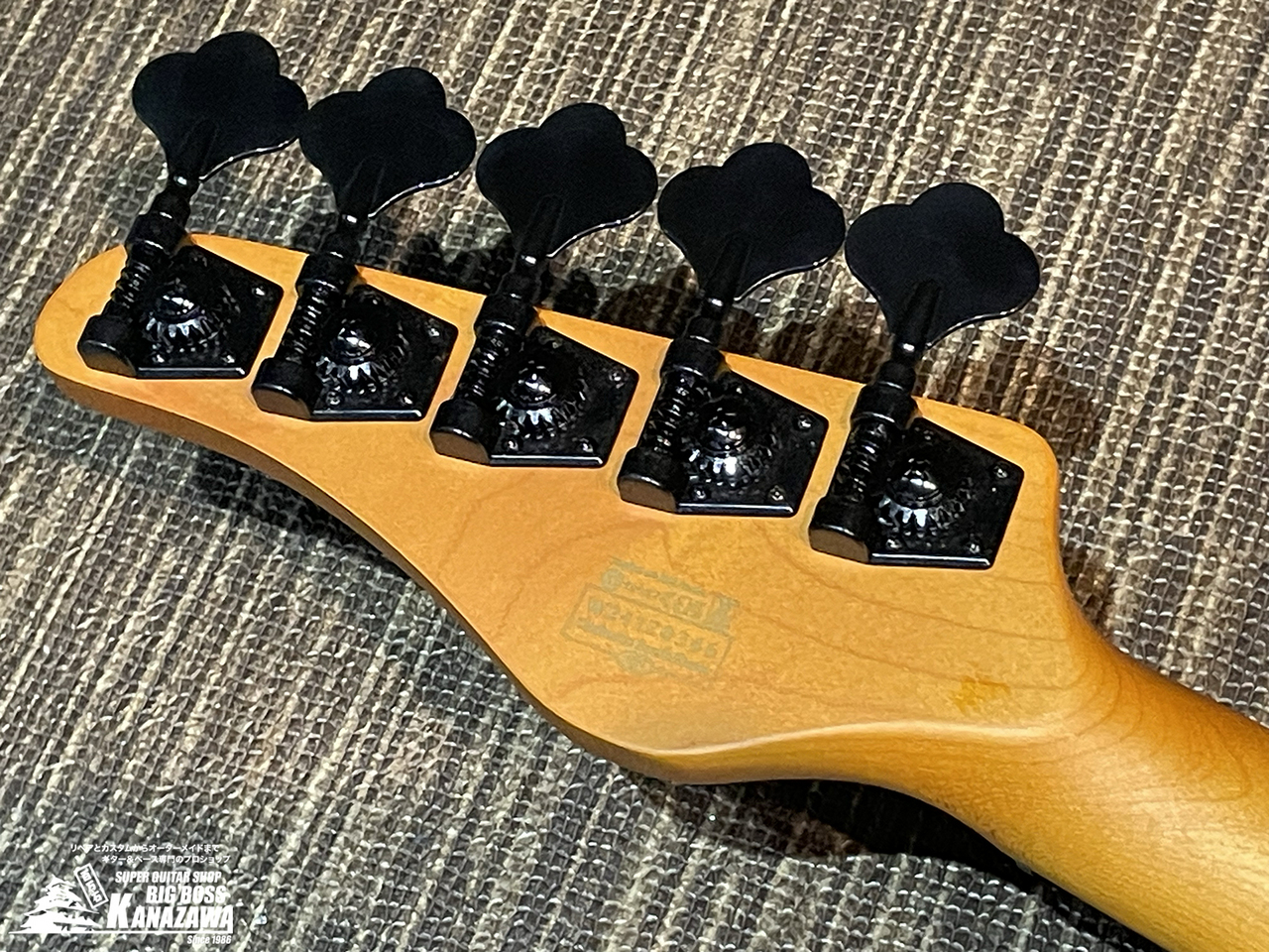 SCHECTER MODEL-T SESSION 5 [AD-MT-SS-5]【希少なTLベース5弦