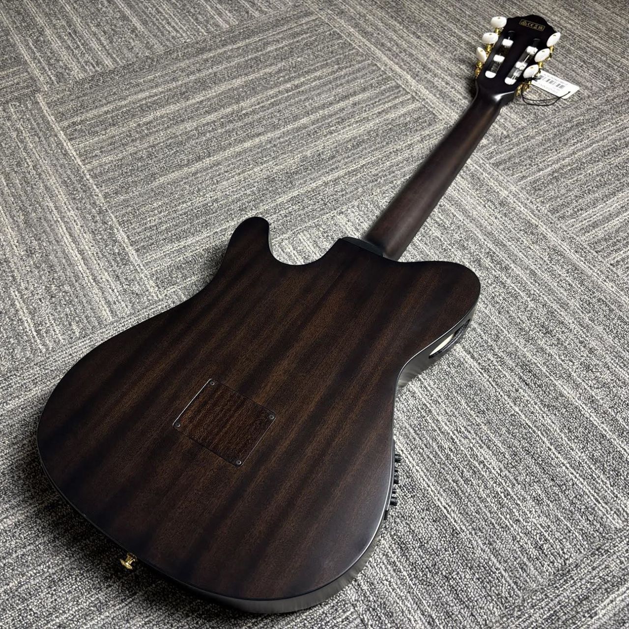 Ibanez FRH20FMN エレガットギター【現物画像】（新品/送料無料
