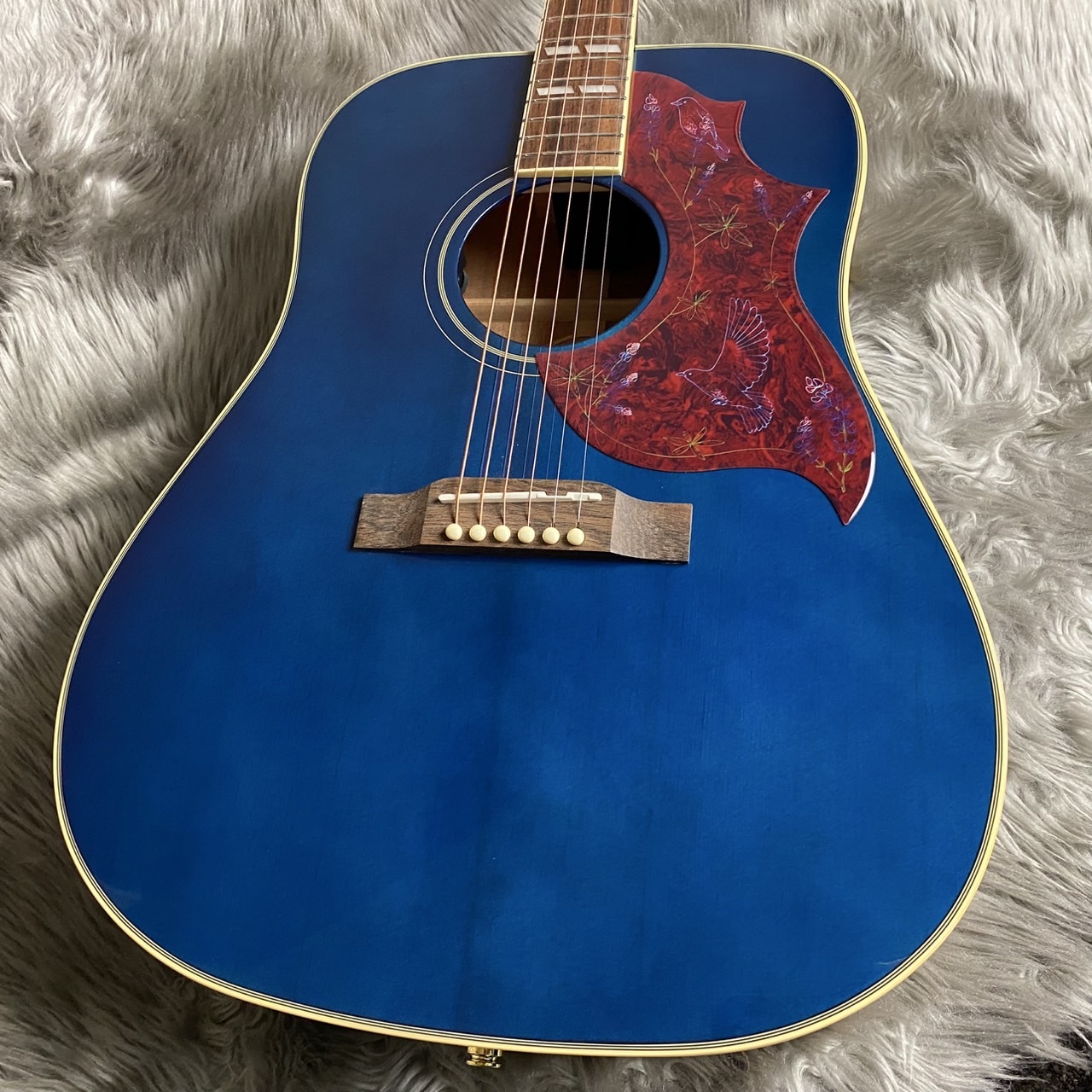 Epiphone Miranda Lambert Bluebird Studio Bluebonnet【現物