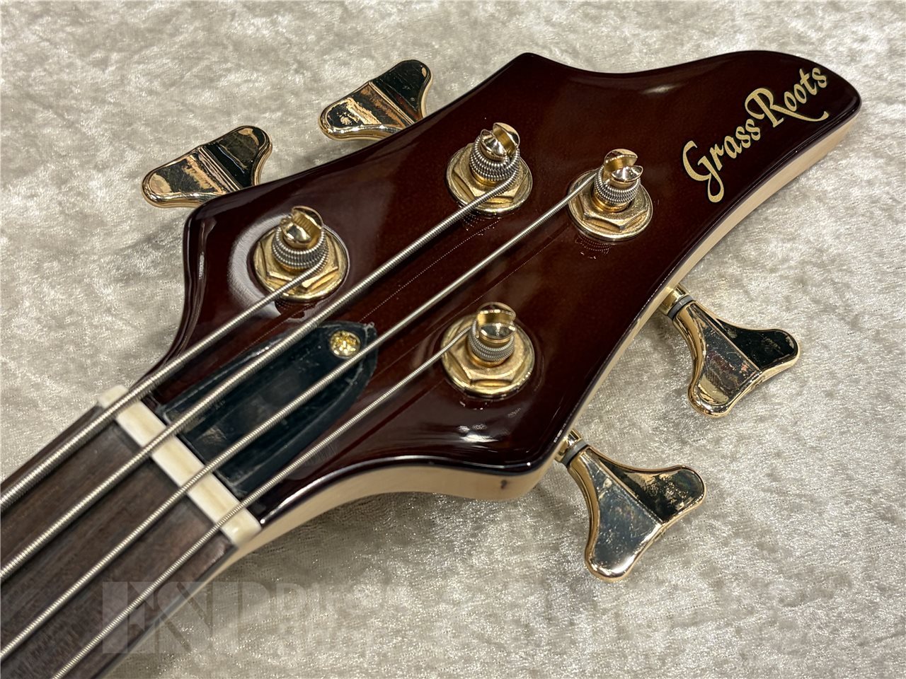 GrassRoots G-BB-DLX【See Thru Brown】（新品/送料無料）【楽器検索