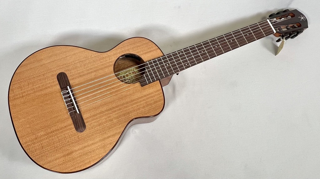 aNueNue aNN-MN14E アヌエヌエ エレガットギター（新品）【楽器検索