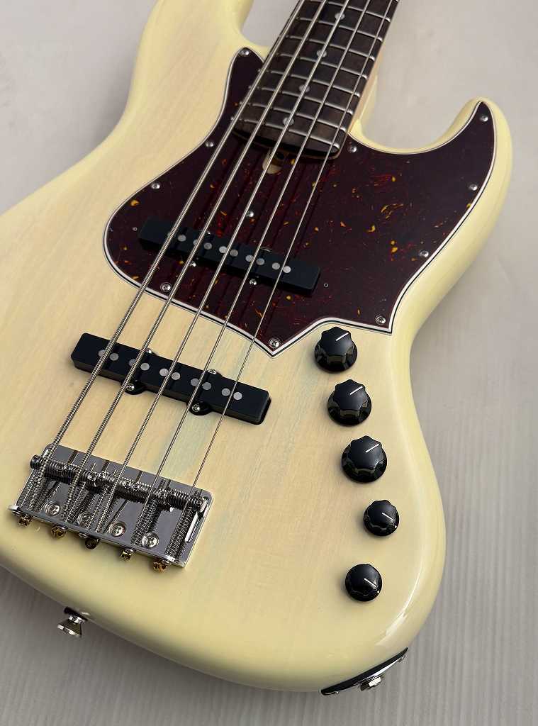 alleva coppolo ベースケース 黒　ギグバッグ alleva coppolo ベースケース 黒 ギグバッグ 楽器アクセサリー