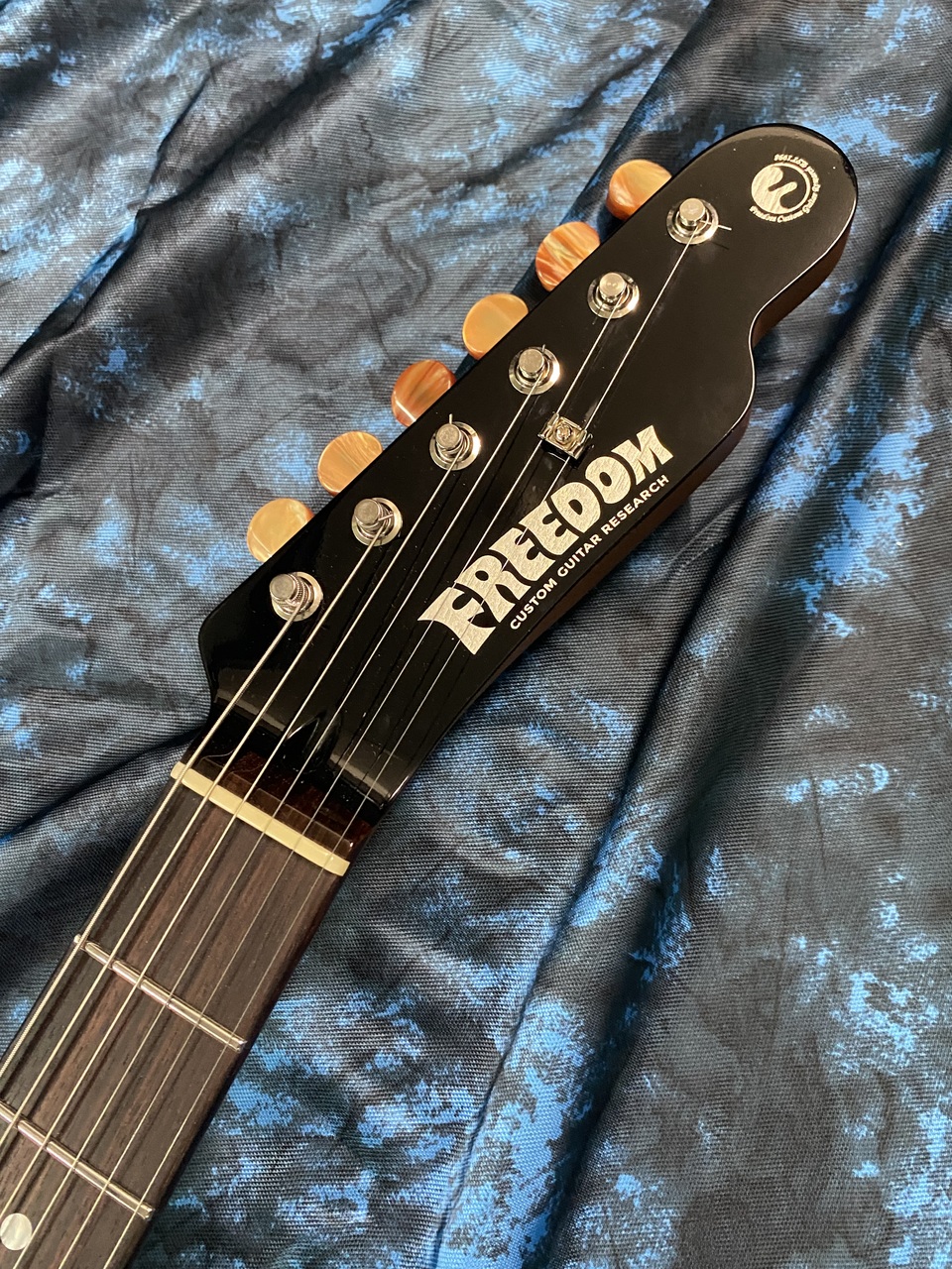 FREEDOM CUSTOM GUITAR RESEARCH C.S. Green Pepper （中古）【楽器