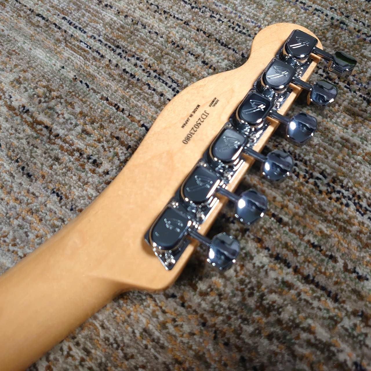 Fender LTD TELE BK PAISLEY（新品/送料無料）【楽器検索