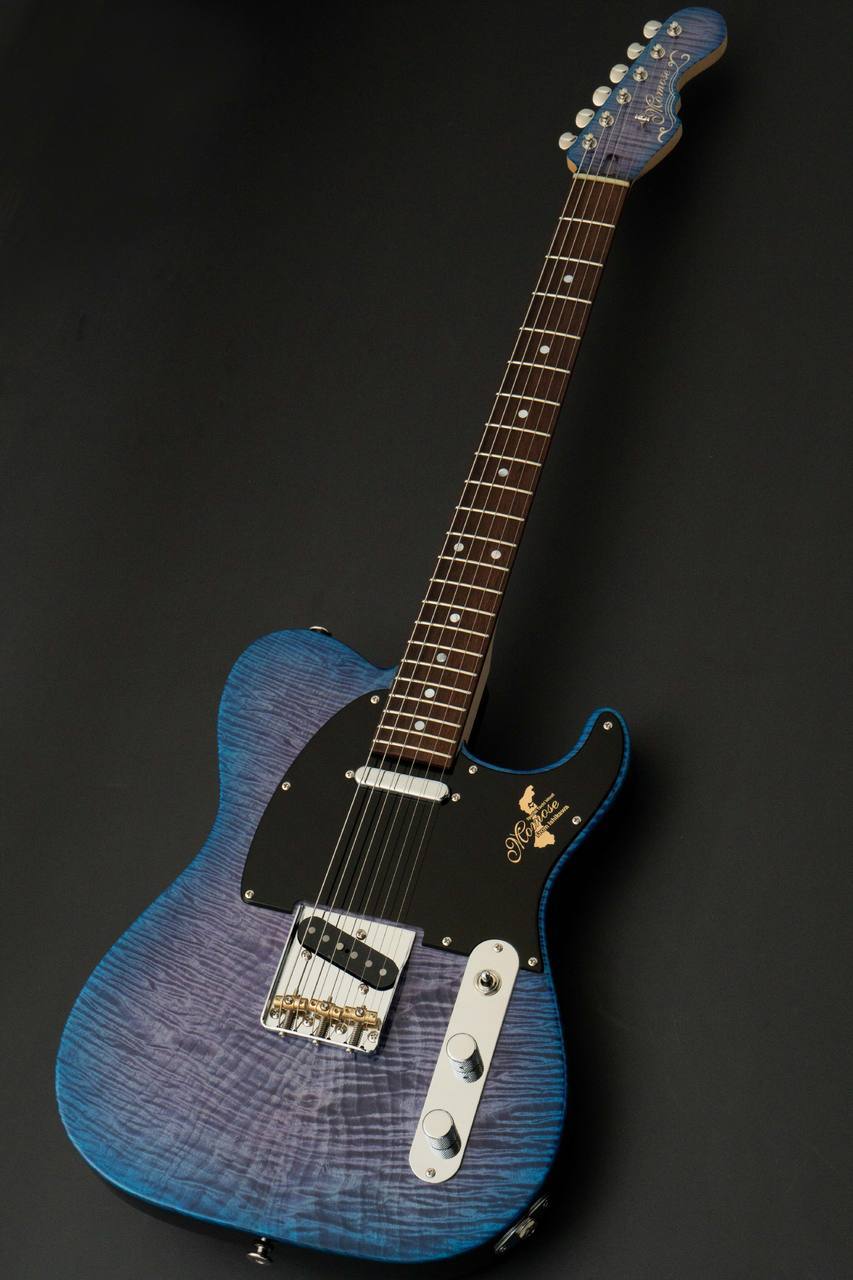 momose MT-TOCHI WSE'24/NJ -Hydrangea Blue Burst /HYD-BL-B
