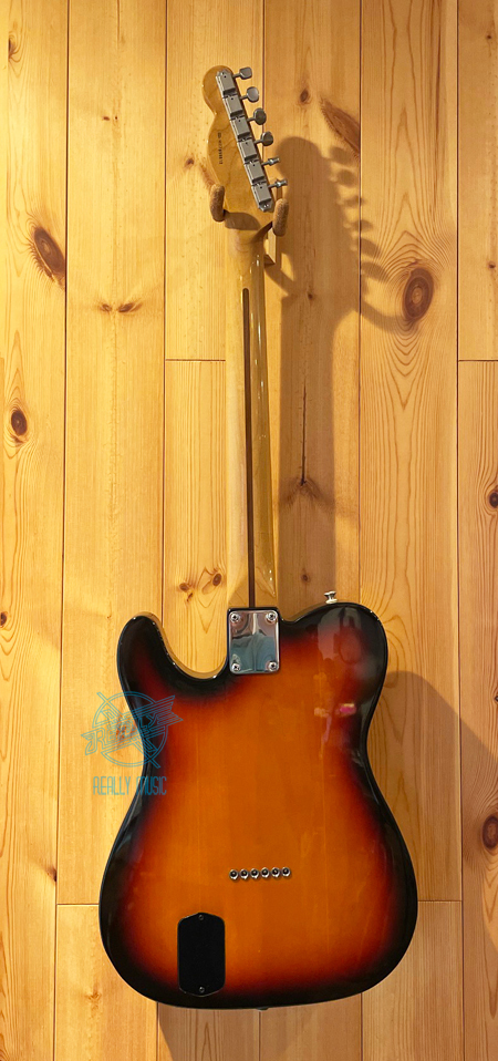 Fender Deluxe Nashville Telecaster w/Fishman Powerbridge（中古