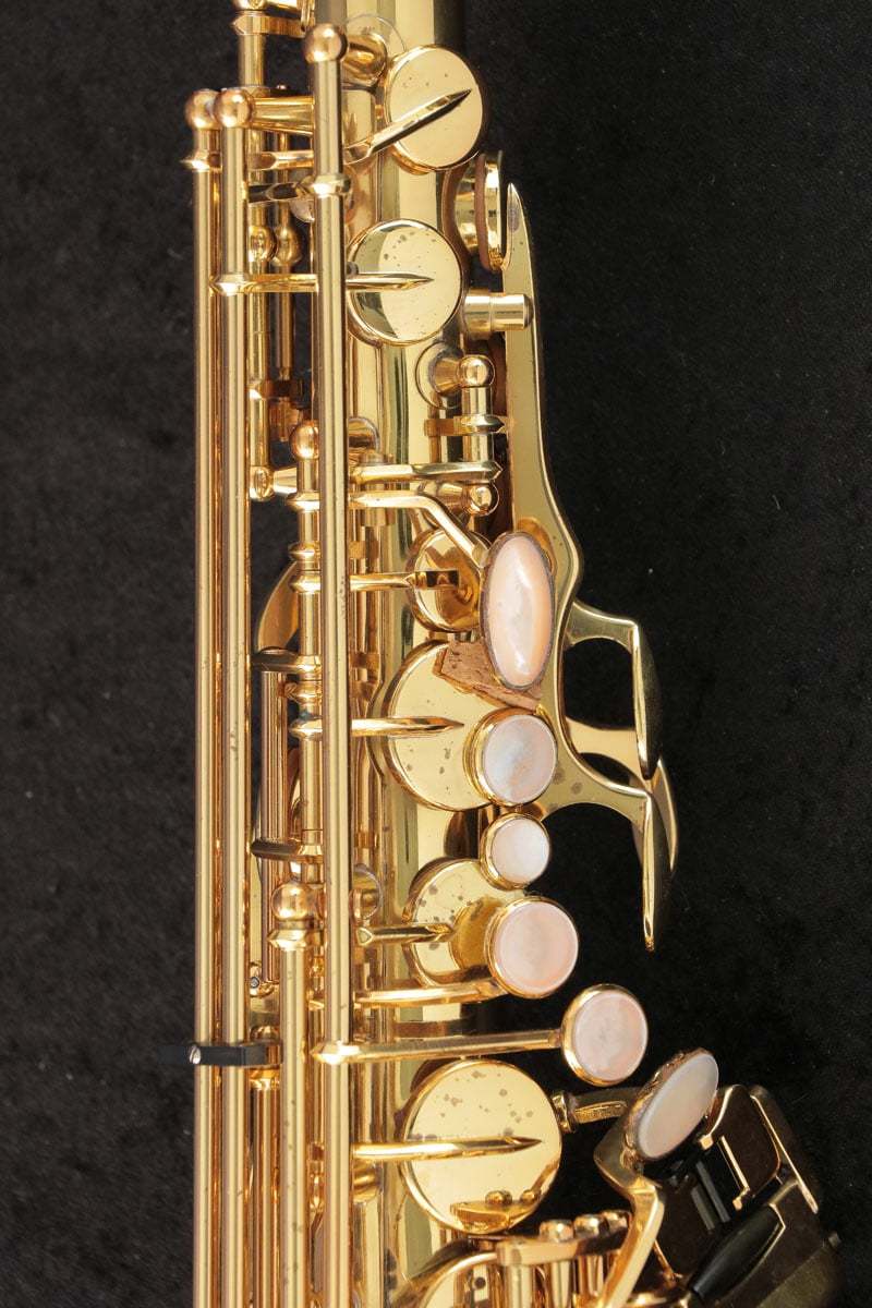 YANAGISAWA　ヤナギサワ A-880 ELIMONA アルトサクソフォン YANAGISAWA ヤナギサワ A-880 ELIMONA アルトサクソフォン（中古