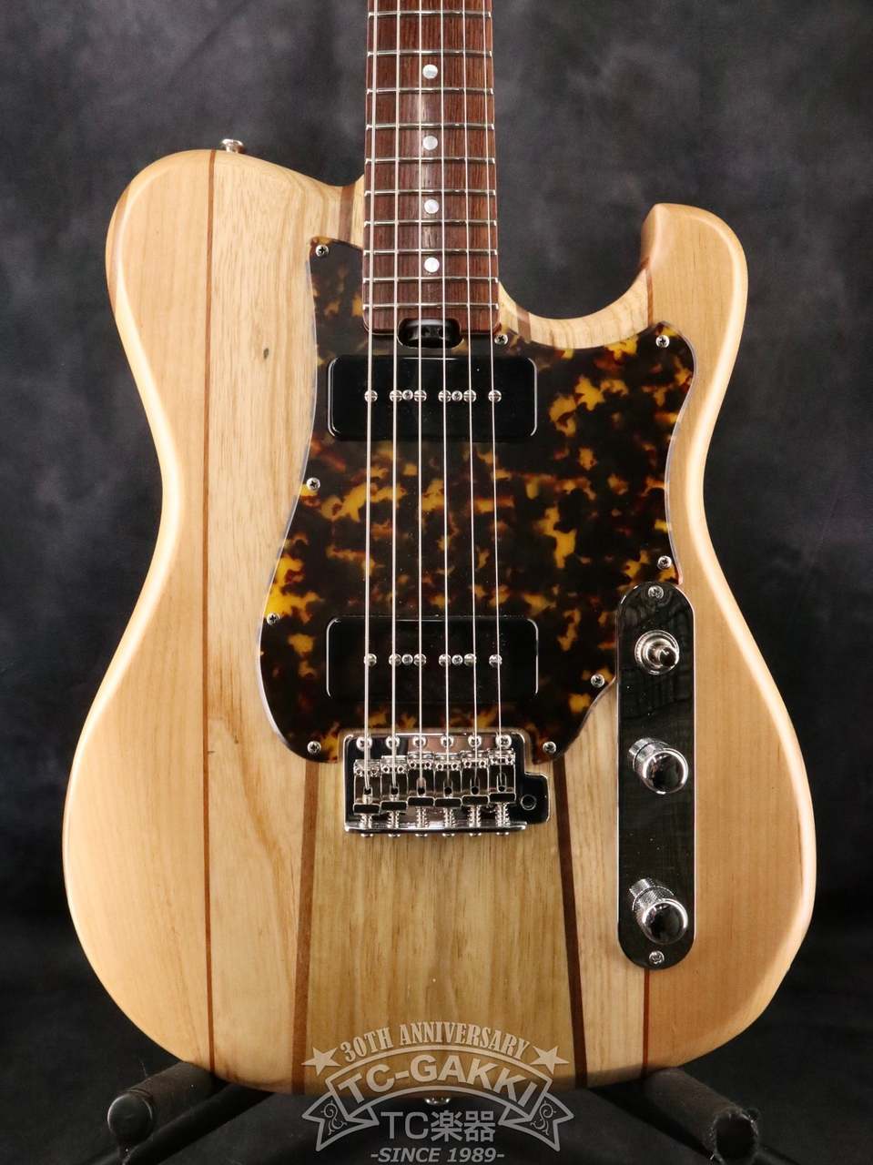 T.S factory 151A-TSSP SDGs（新品）【楽器検索デジマート】