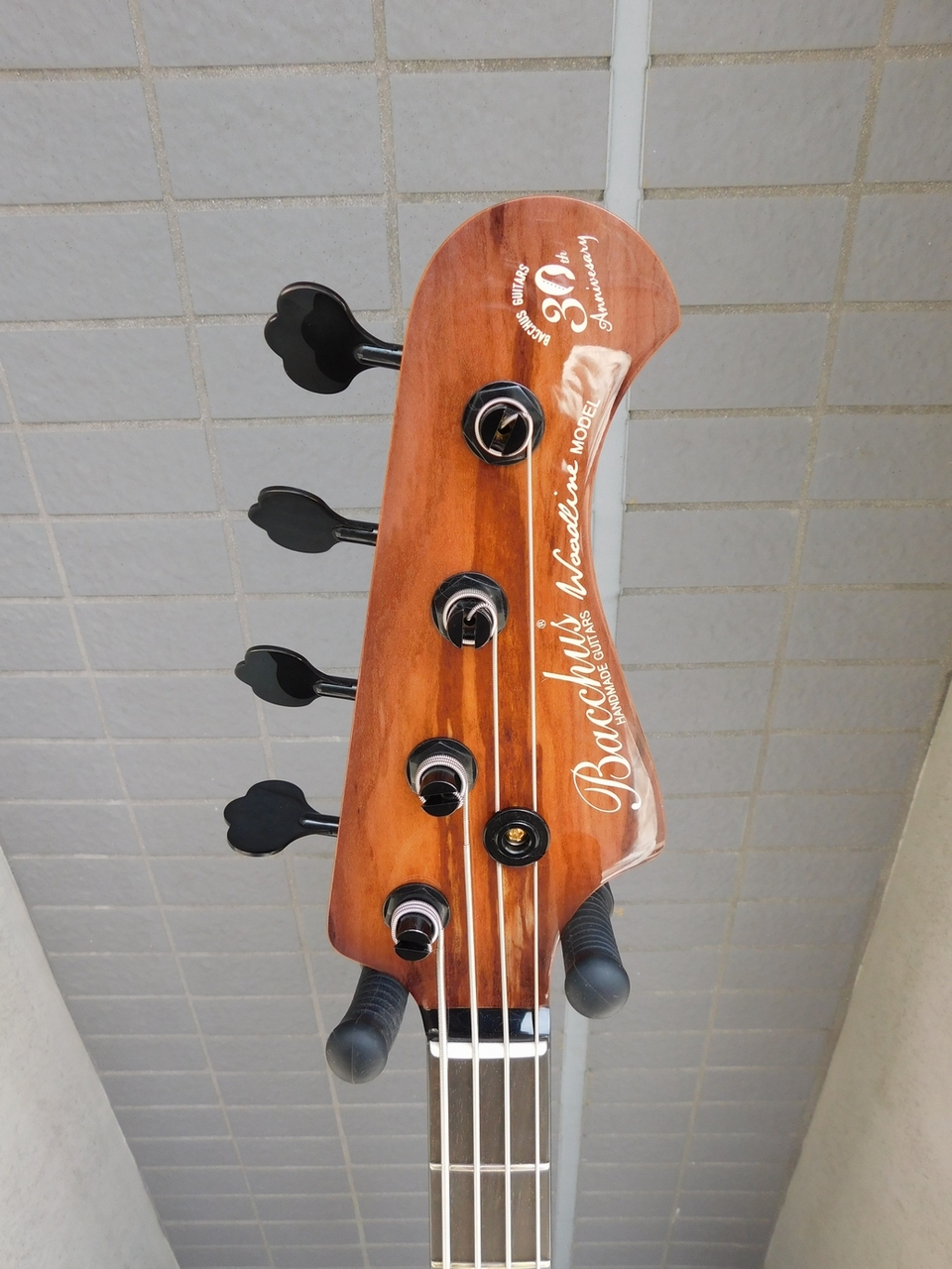 Bacchus WOODLINE-HOLLOW4 SAKURA SP'24/E 限定モデル（中古