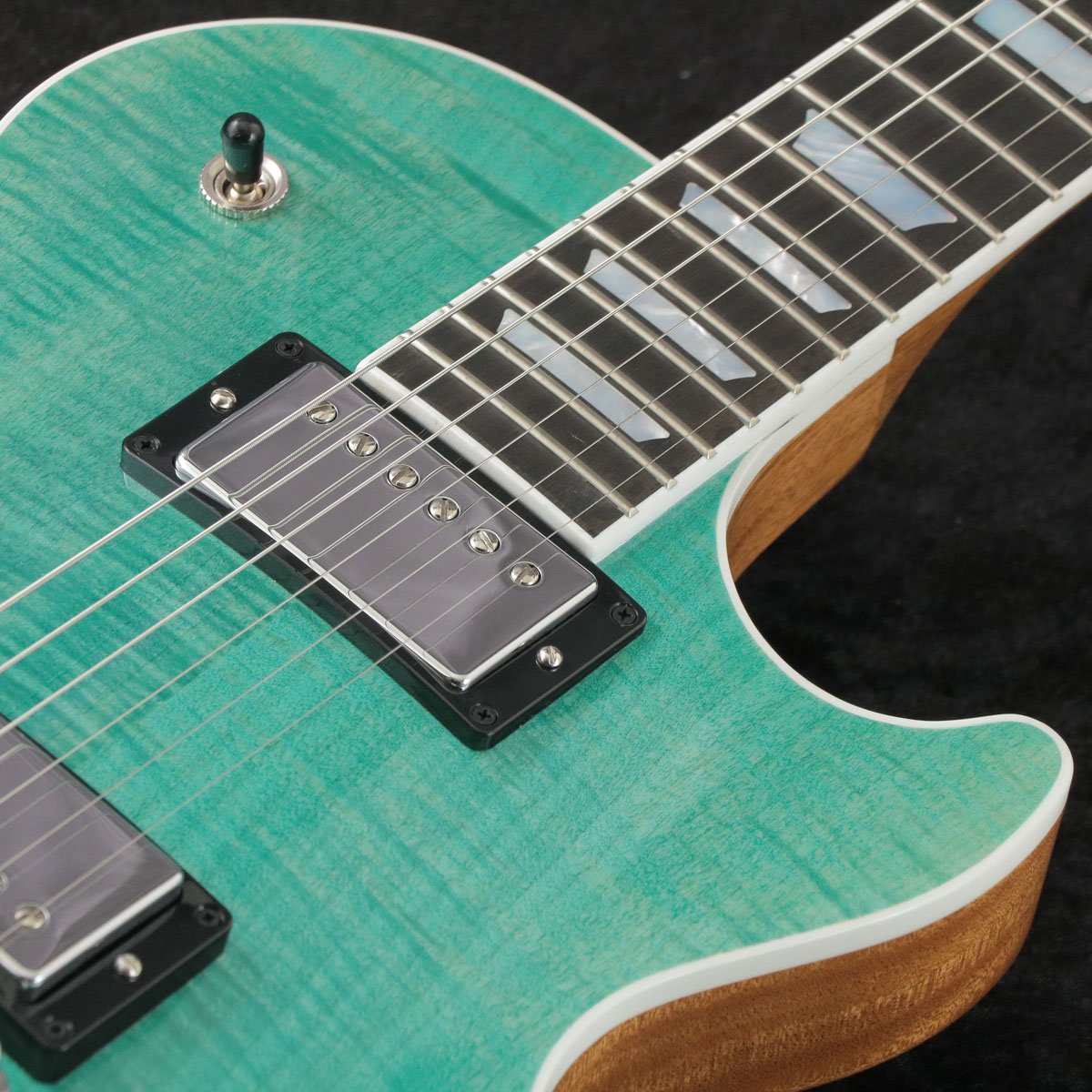 500本限定/レア美品☆ GReeeeN Naviモデル レスポール ケース付属
