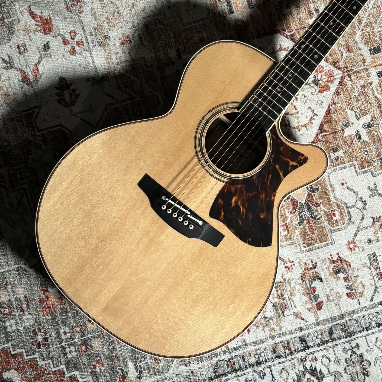 Takamine DMP50S NAT エレアコギター セミハードケース付属【島村楽器