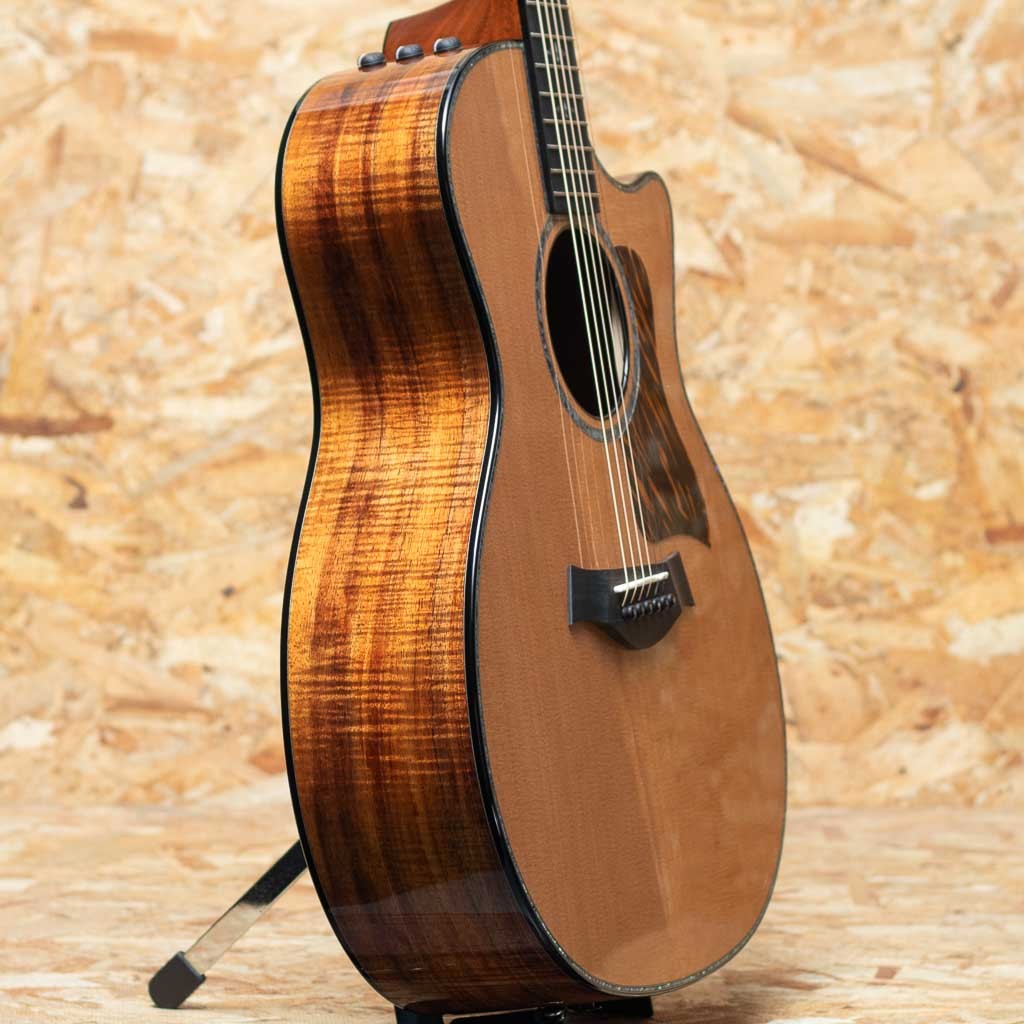 Taylor Custom C14ce B5028（新品）【楽器検索デジマート】