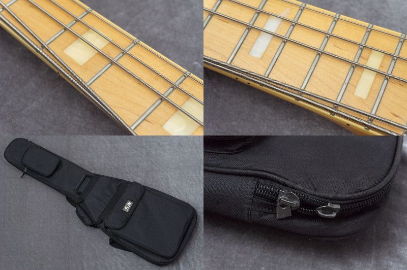 FUJIGEN(FGN) NJB10MBAHV VNT 2019 4.19kg #I190770【GIB兵庫】（中古