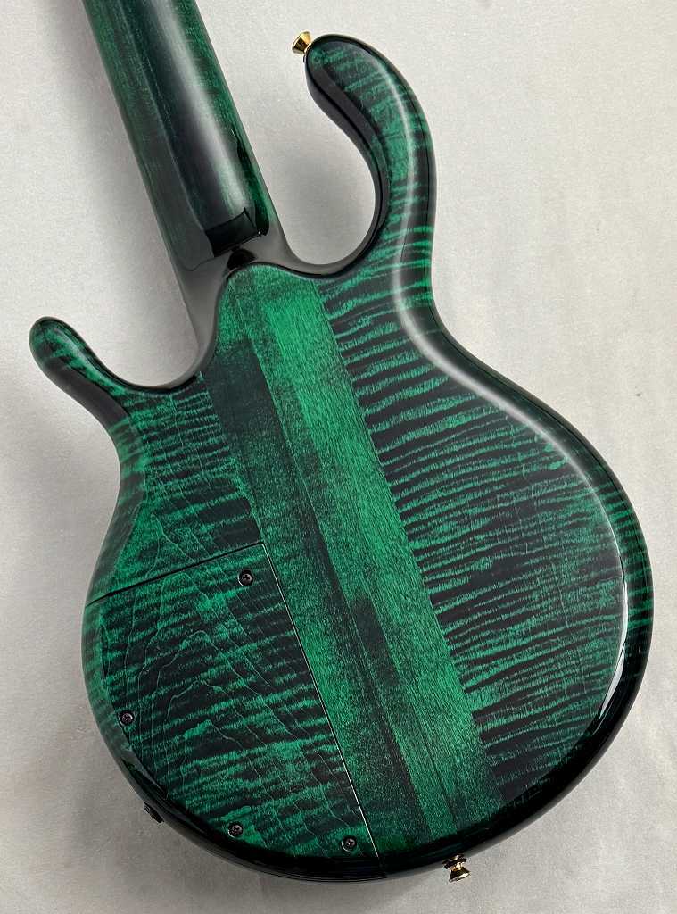 Pedulla Penta Buzz 5【USED】（中古）【楽器検索デジマート】