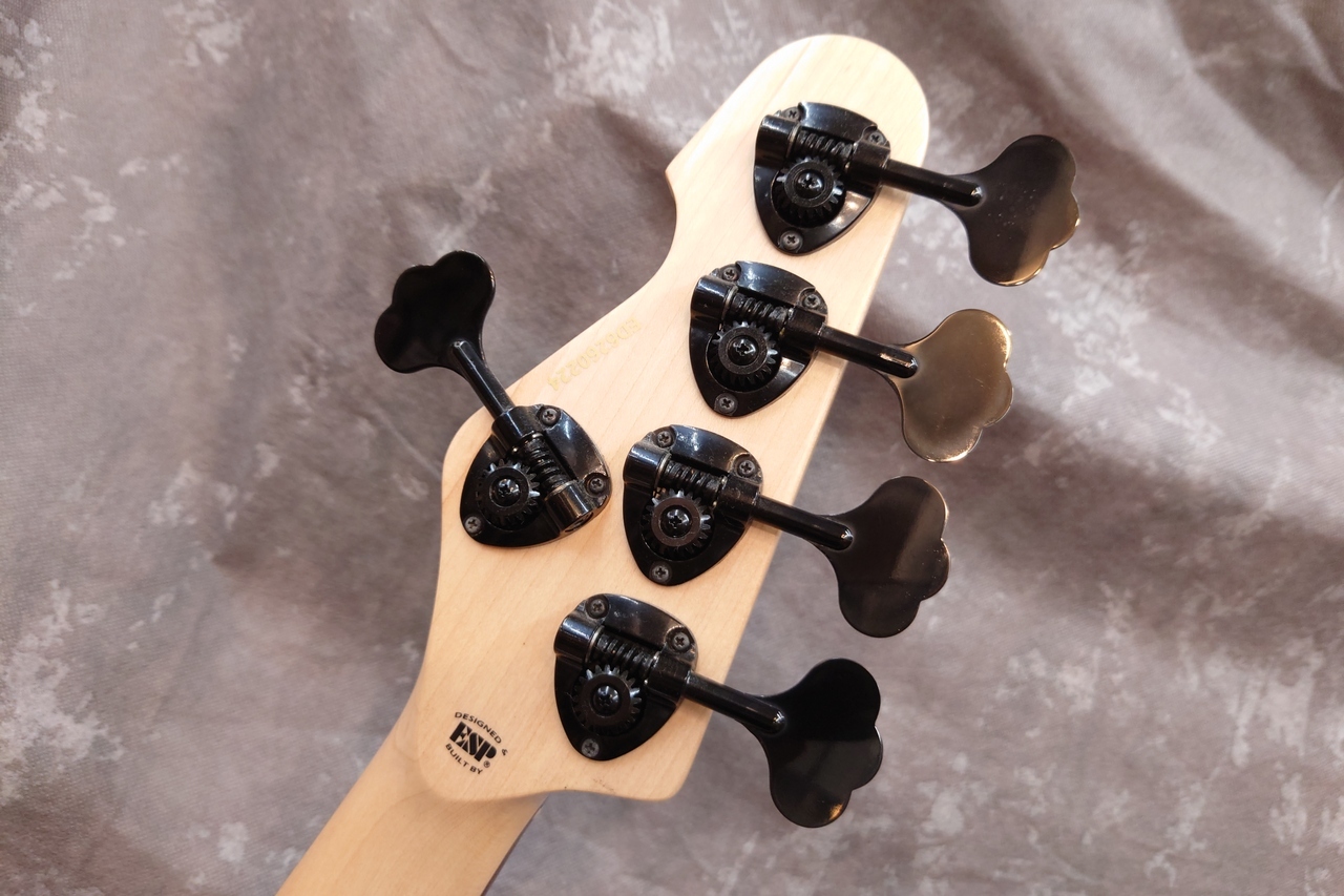 EDWARDS Platinum Edition E-AMAZE-5-190 IKUO Signature Model